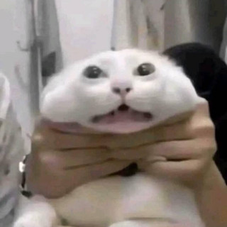hanhnenhaaaaaa
