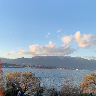 luctrinhvu