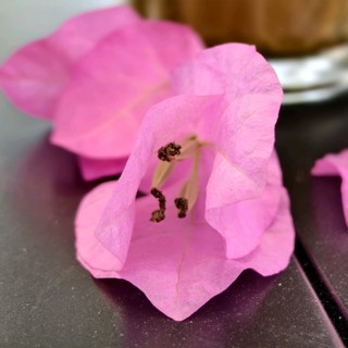 thaisang16