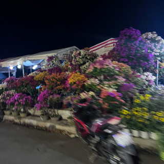 pngthu_1401