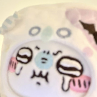 shin_baka