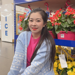 tranainguyen2311