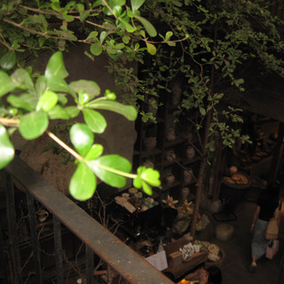 vananh130724