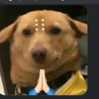 thanhthaoo_2005