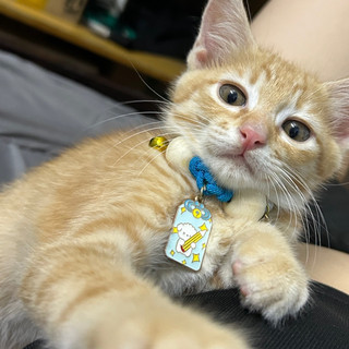 thanhtrn743