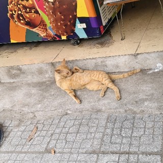 lekhanhhuyen1qzw2._