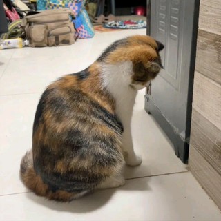 dothuylinh1304