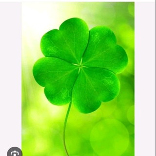 thanhtuyen_vuive