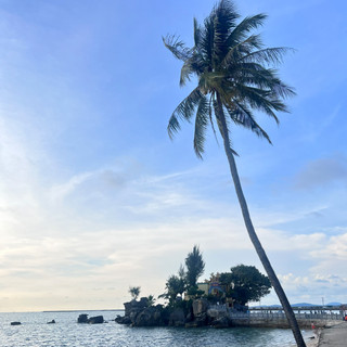 hothientrang