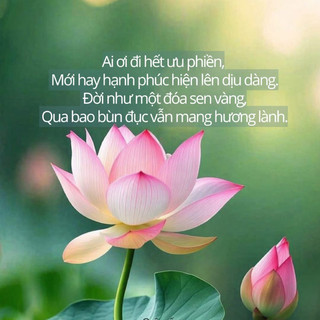 chinh123456779