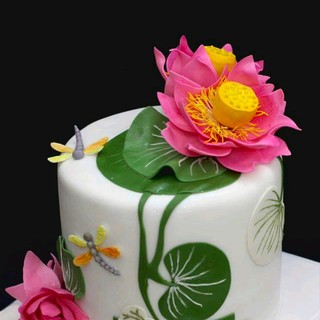 thythynguyen043