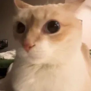 qu_anh9