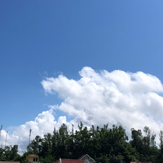 phamhuyen771