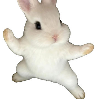 nomi_i