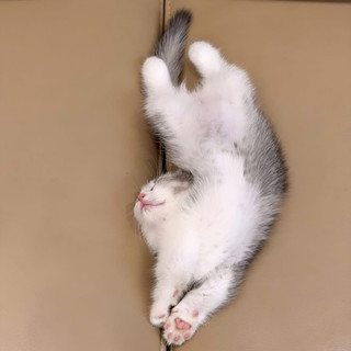 christinajung_27