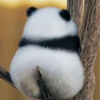 thim.neee
