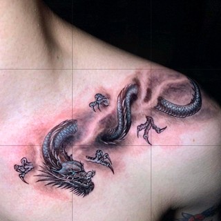 chim_cong