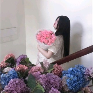 vnvlthanh
