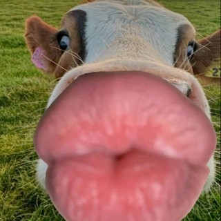 t1plf7l9f3