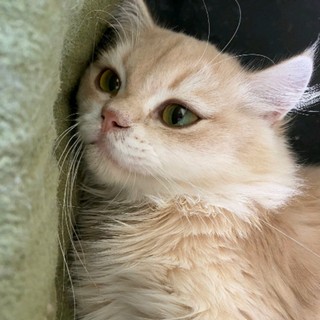 wuinie_03
