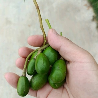 anthienan90