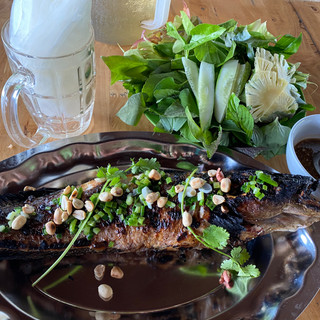 hongnguyen008
