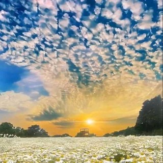 nguyensontung2727