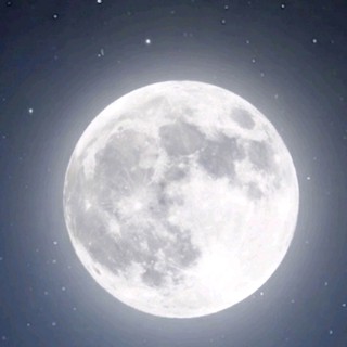 tchnq_54557