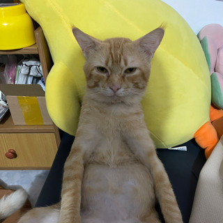 maxukinami
