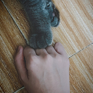 ngocphuong02