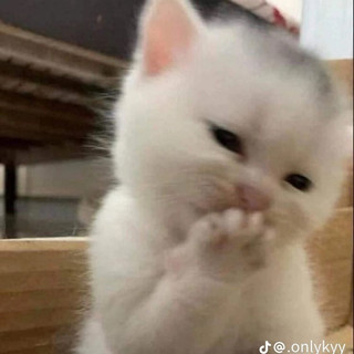 anhtuan180104