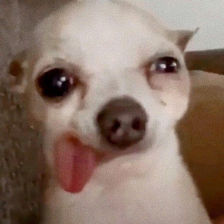 ownxiun.sg