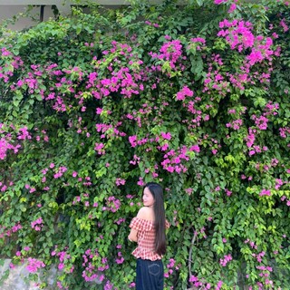 chidinh117