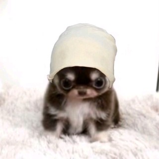 mai.phuonq_