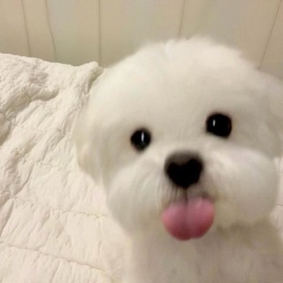 hoso_3