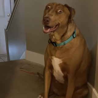 quangchanh1002