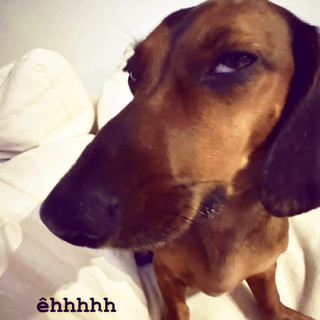 nibiibonn