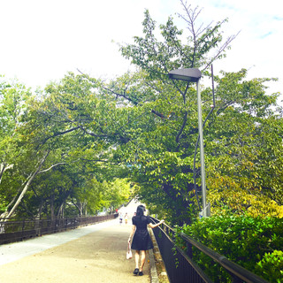 kimtrinh88