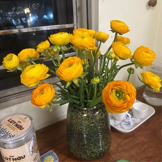 thuyhang_071086