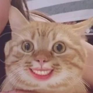 hoangton123456789