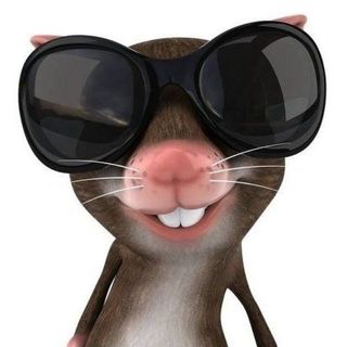 ngcyntrn508