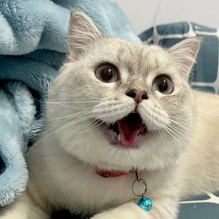 ngcrawr