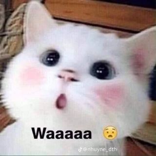 vuo7zb2pas