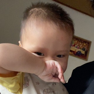 hoangdoanthaovi