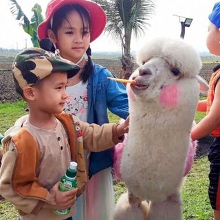 utmuoi_1235