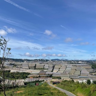 phuongloan0202