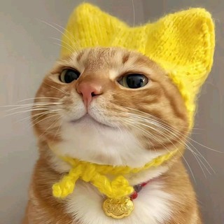 dangphuonglinh96