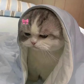 klynguyen07