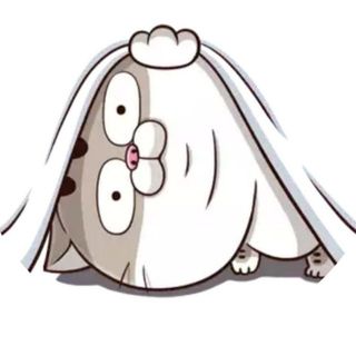 hung_baobao