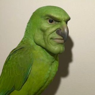 veloceraptor
